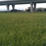 2014-02-11: 觀察記錄