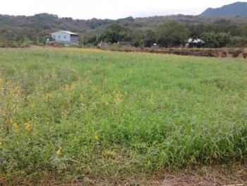 2012-11-30: 觀察記錄