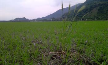 2011-01-11: 觀察記錄