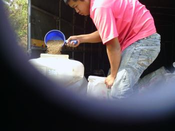2012-11-06: 撒種