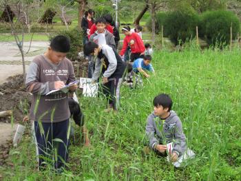 2012-03-03: 觀察記錄